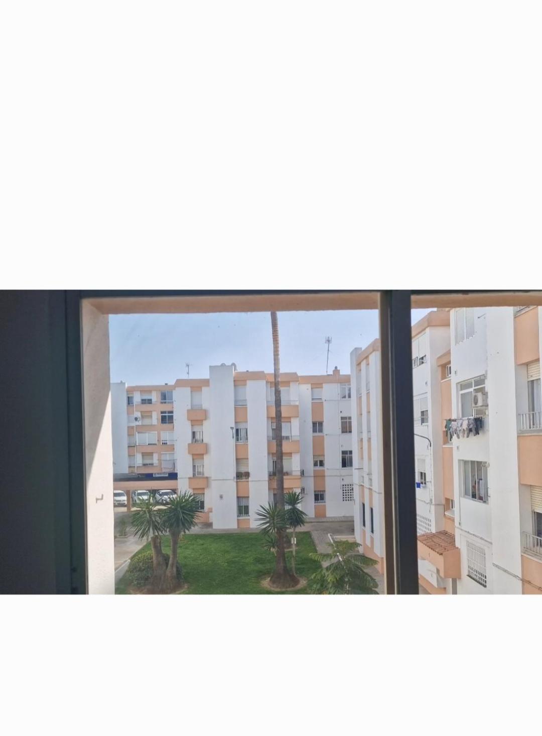 Piso Las Marismas Чиклана-де-ла-Фронтера Екстер'єр фото